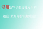 温州BVVB护套线批发用户 相信 杭州安信阻燃电线厂